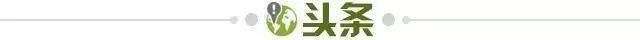 1735142393334054243.jpg 头条.jpg
